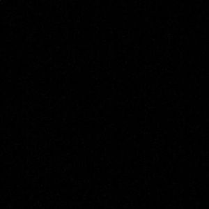 Meet your Posher, Zachary